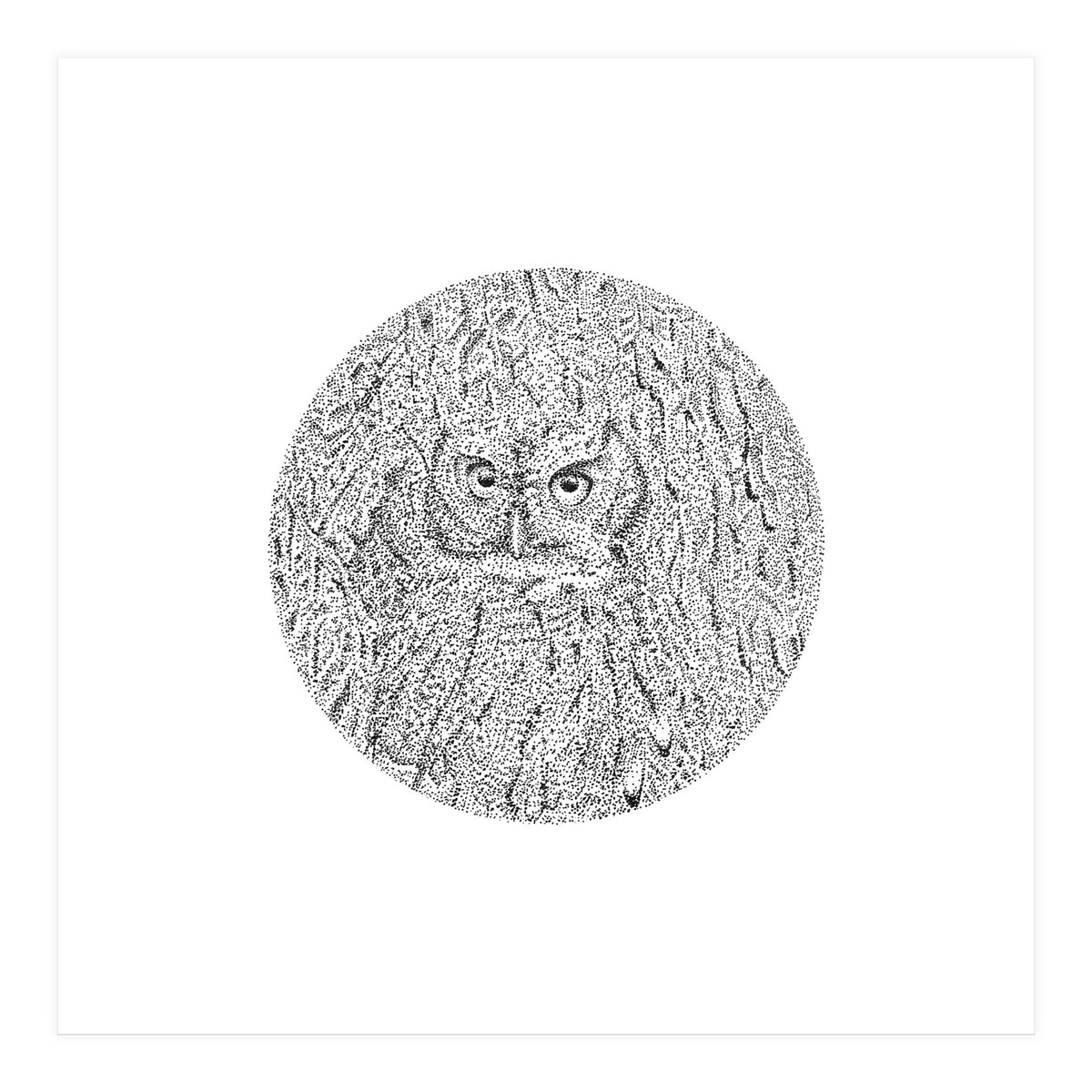 In Plain Sight (Print Only)