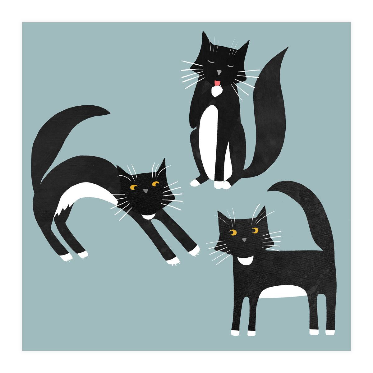 Black and White Tuxedo Cats (Print Only)