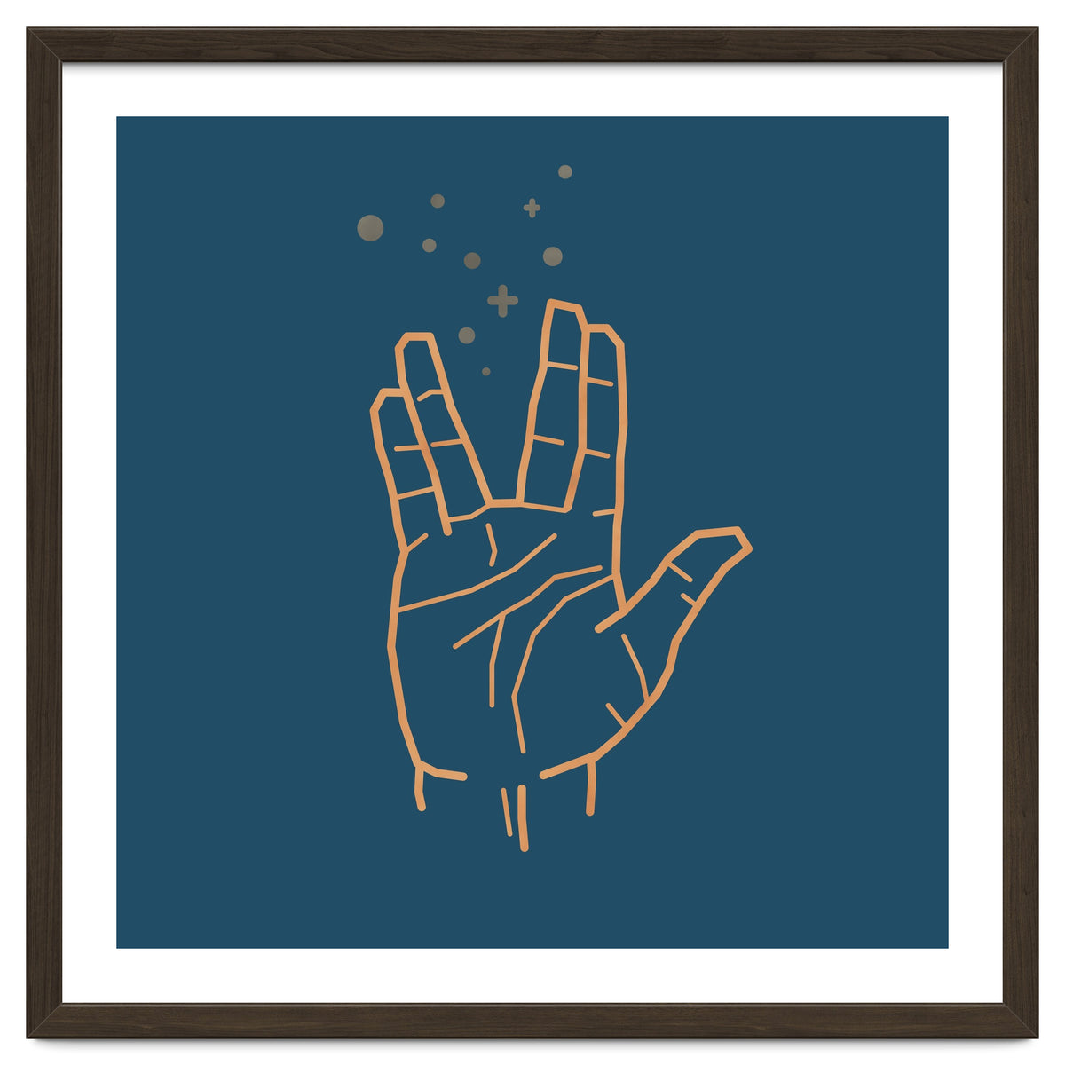 Vulcan Salute