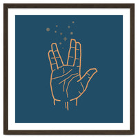 Vulcan Salute