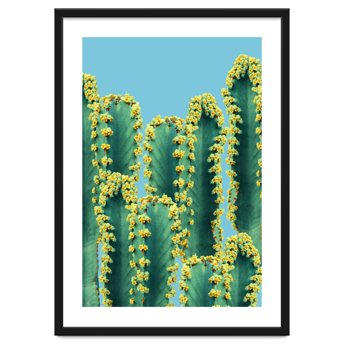 Adorned Cactus V2