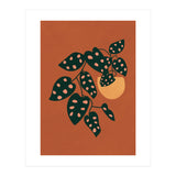 Monstera Adansonii (Print Only) thumbnail
