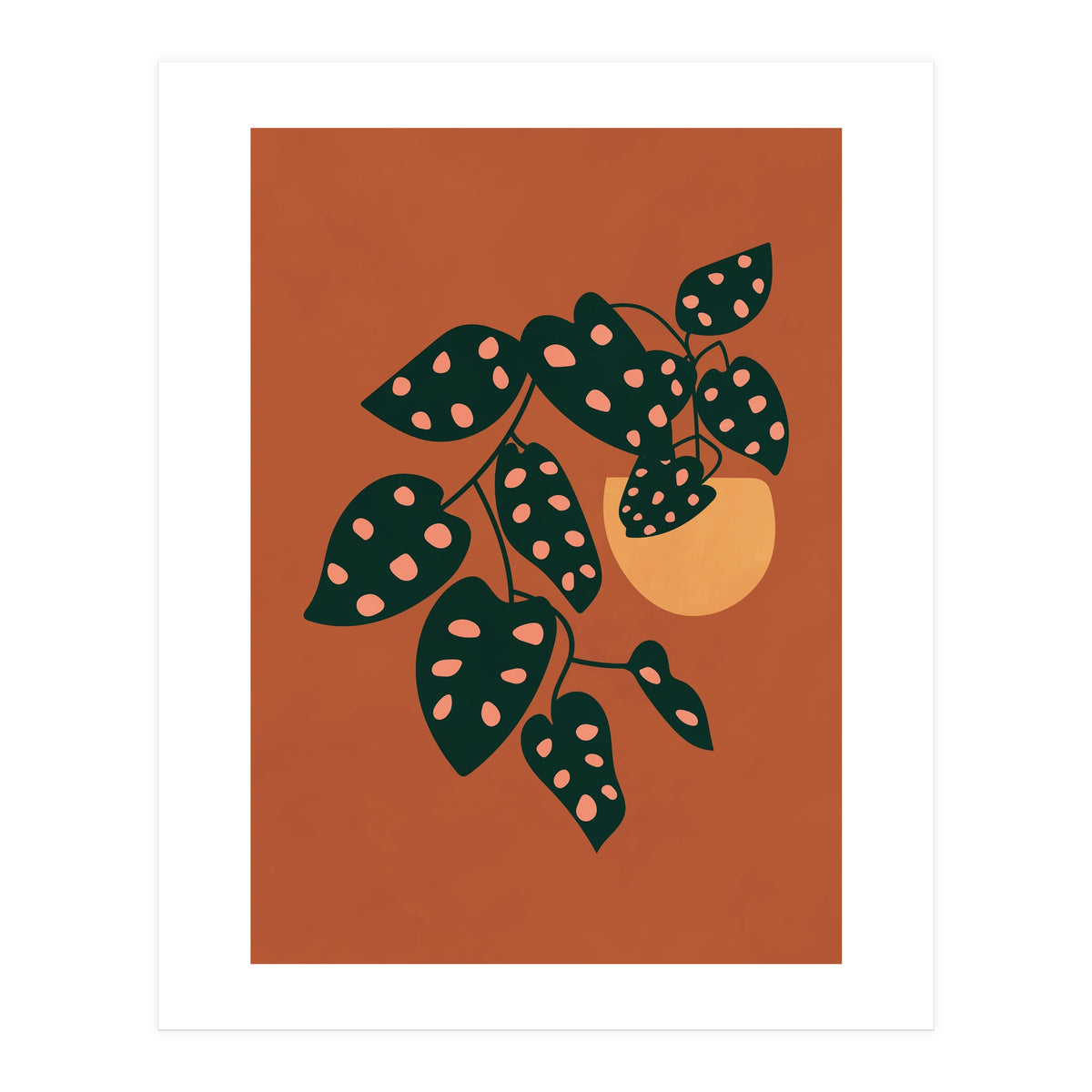Monstera Adansonii (Print Only)
