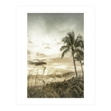 BONITA BEACH Bright Sunset | Vintage (Print Only) thumbnail