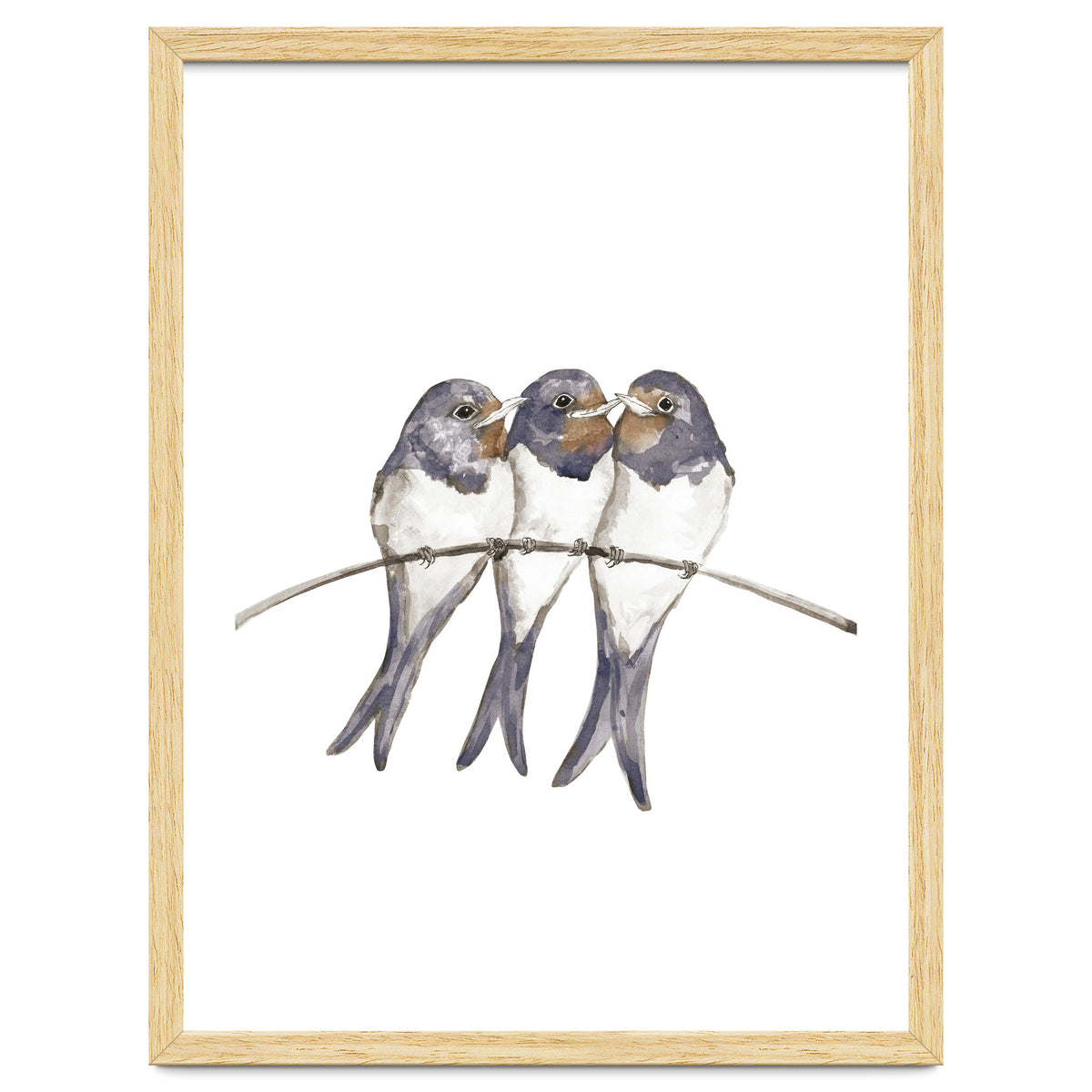 Three young swallows