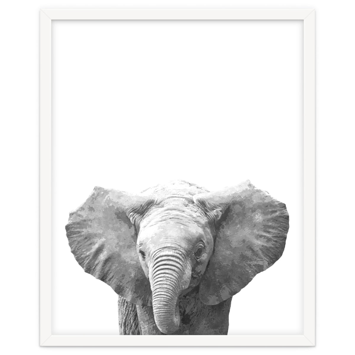 Black and White Baby Elephant