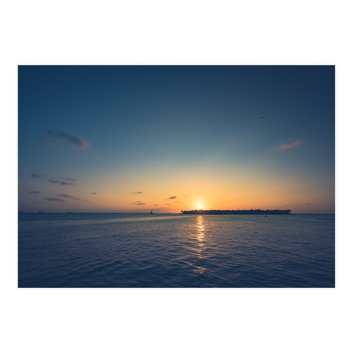 B'dazzled Blue (Print Only)