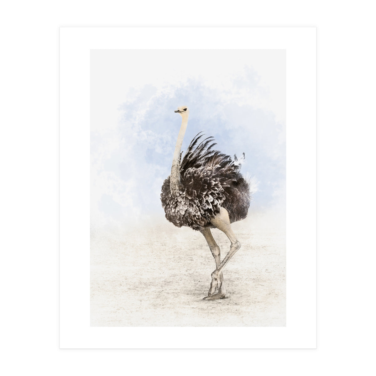 Ostrich (Print Only)