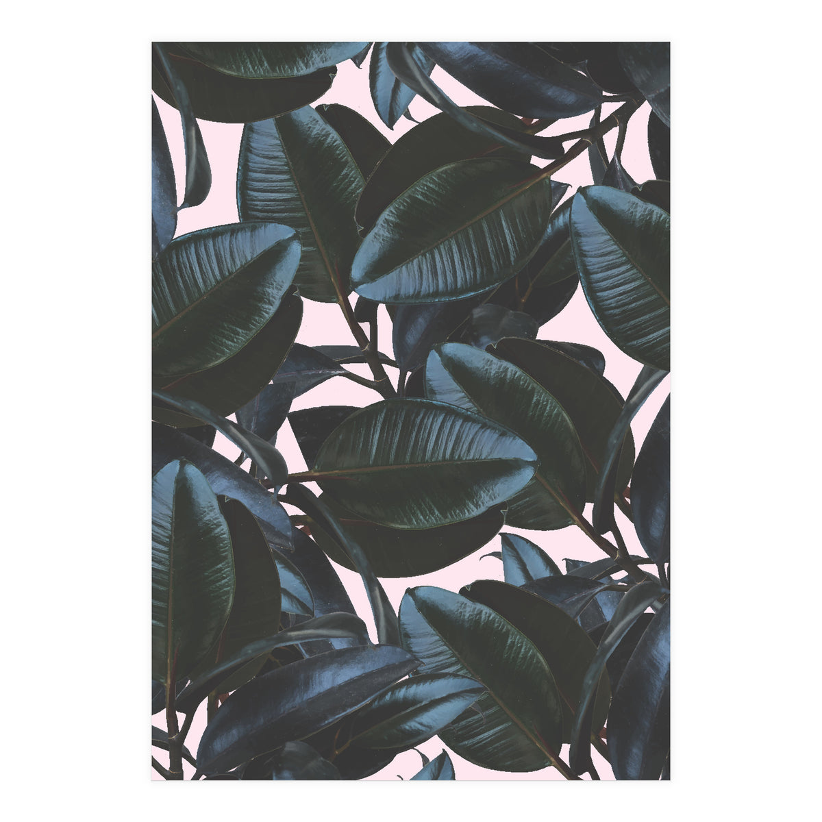 Charming Impression (Print Only)