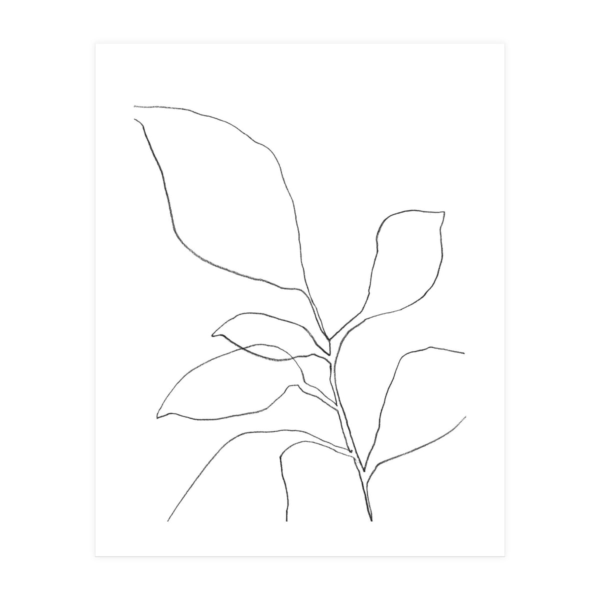 Six Leaf Plant (Print Only)