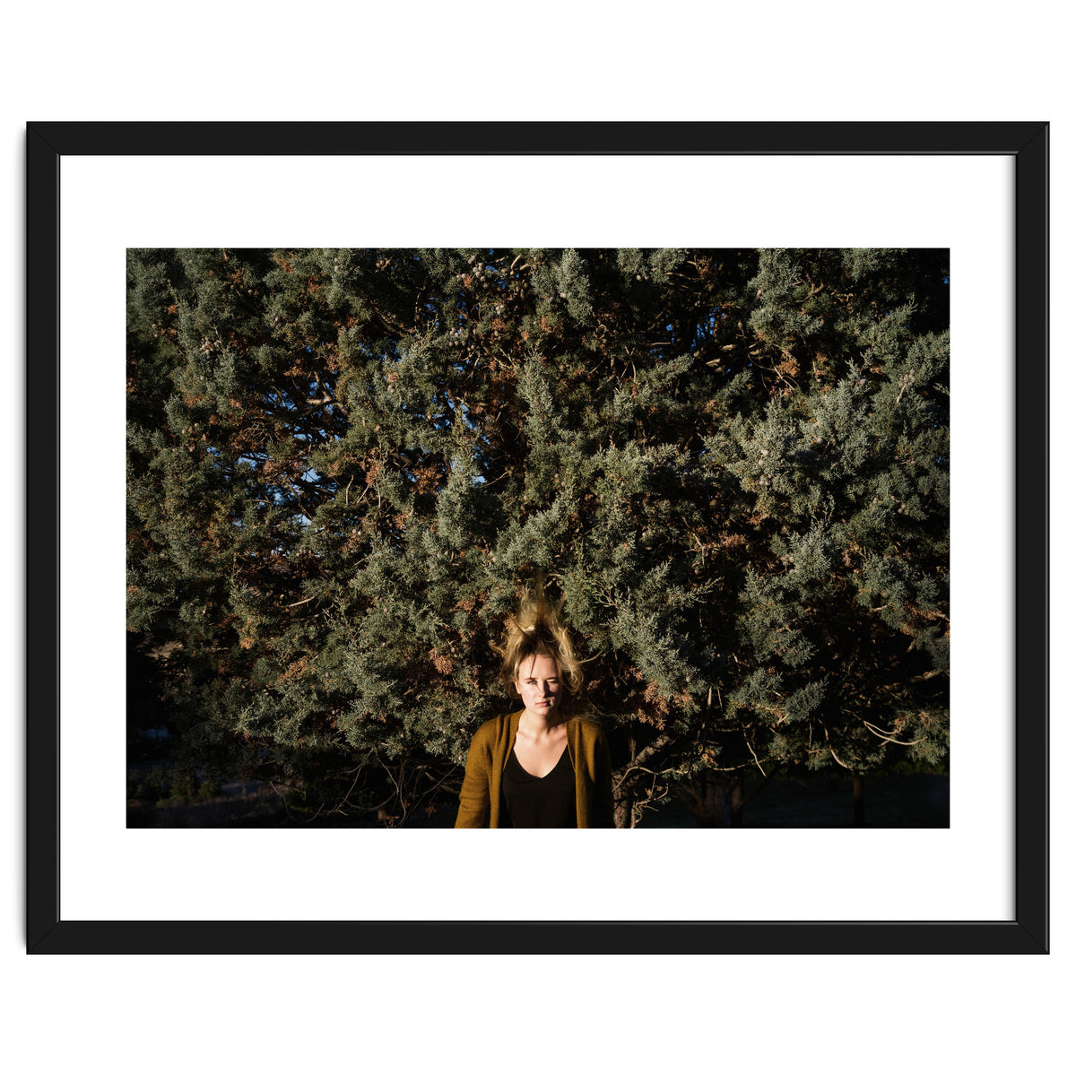 Transition from Summer to Winter