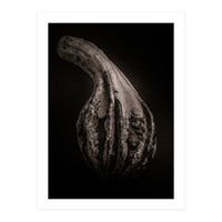 Gourds No 2 (Print Only)