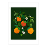 Oranges and Blossoms (Print Only) thumbnail