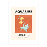 Aquarius Birth Flower Orchid (Print Only) thumbnail