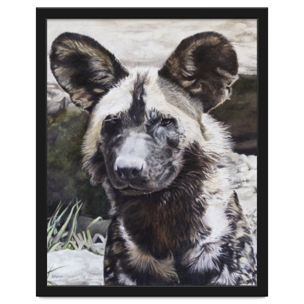 African Painted Dog II