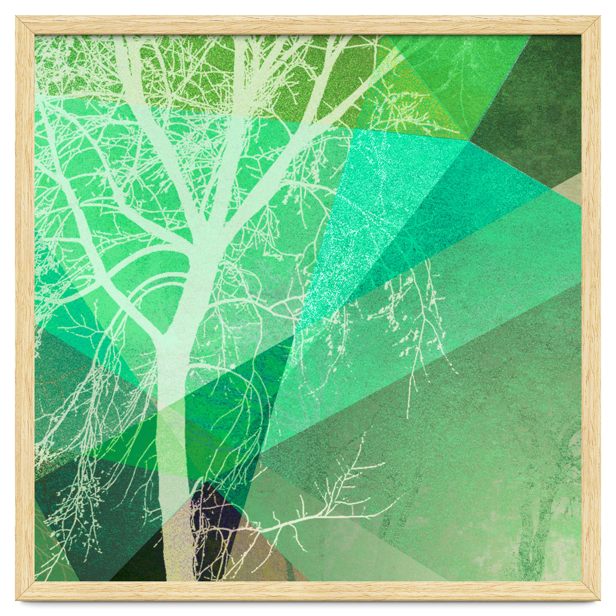 P22-B3 Trees And Triangles