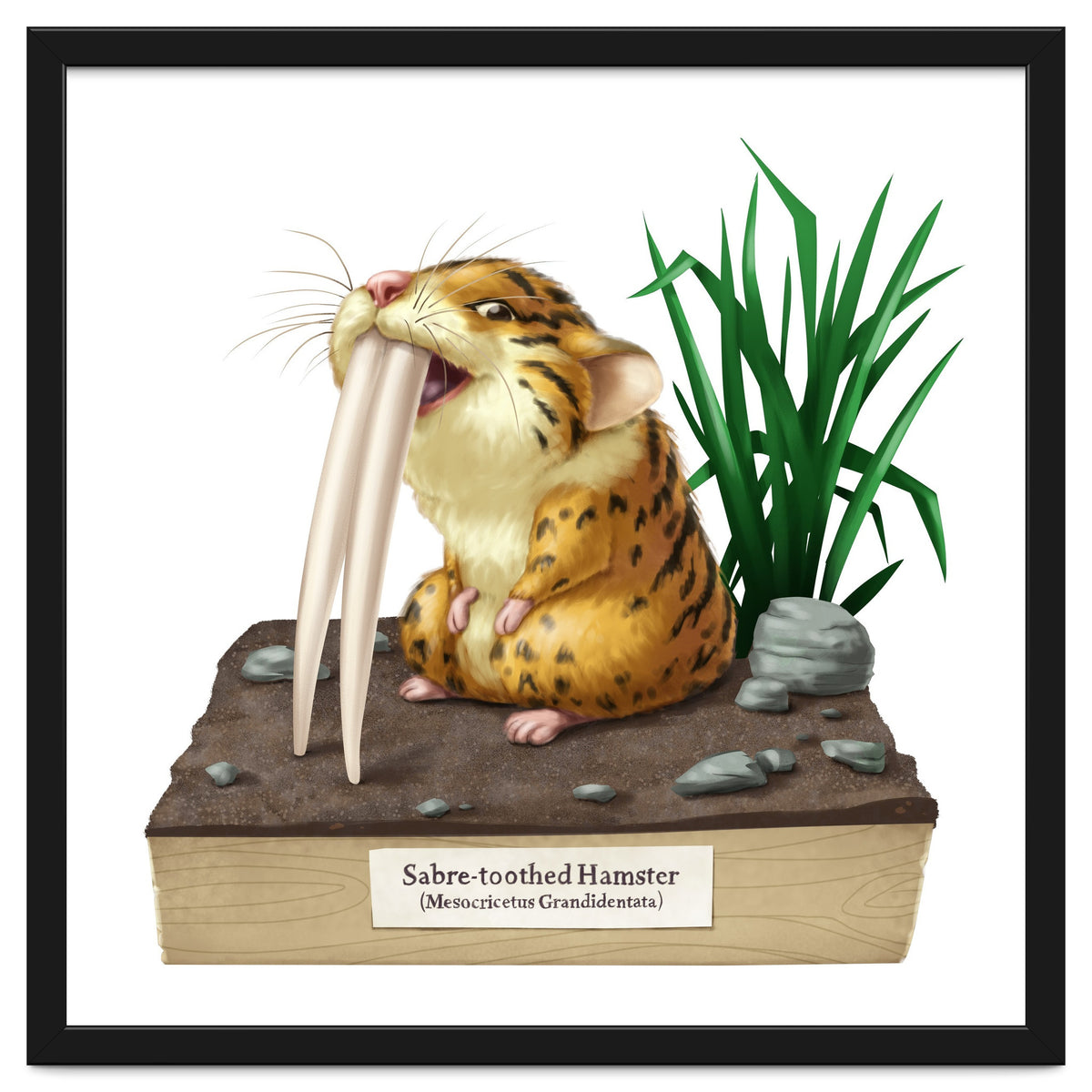 Saber-toothed Hamster