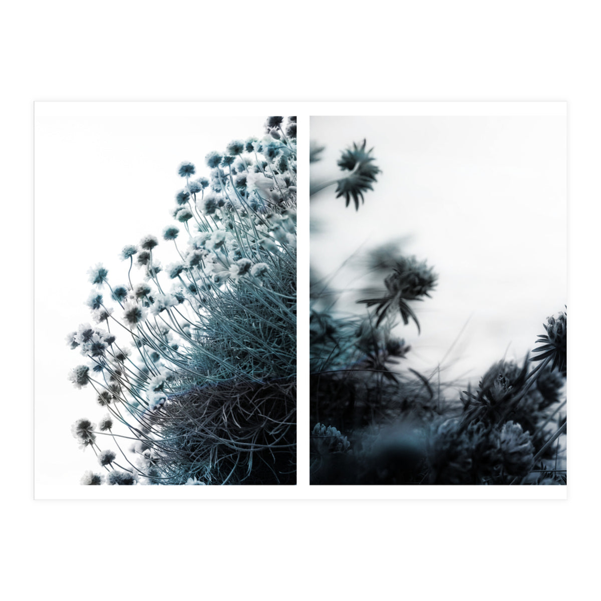 Andante (Print Only)