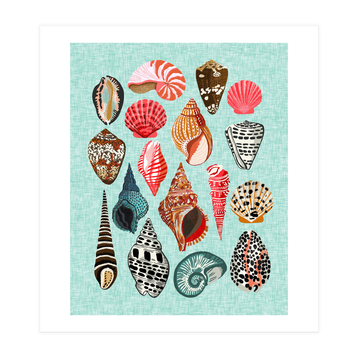 Seashells (Print Only)