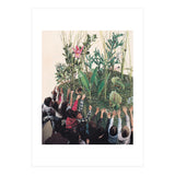 Grow Up (Print Only) thumbnail