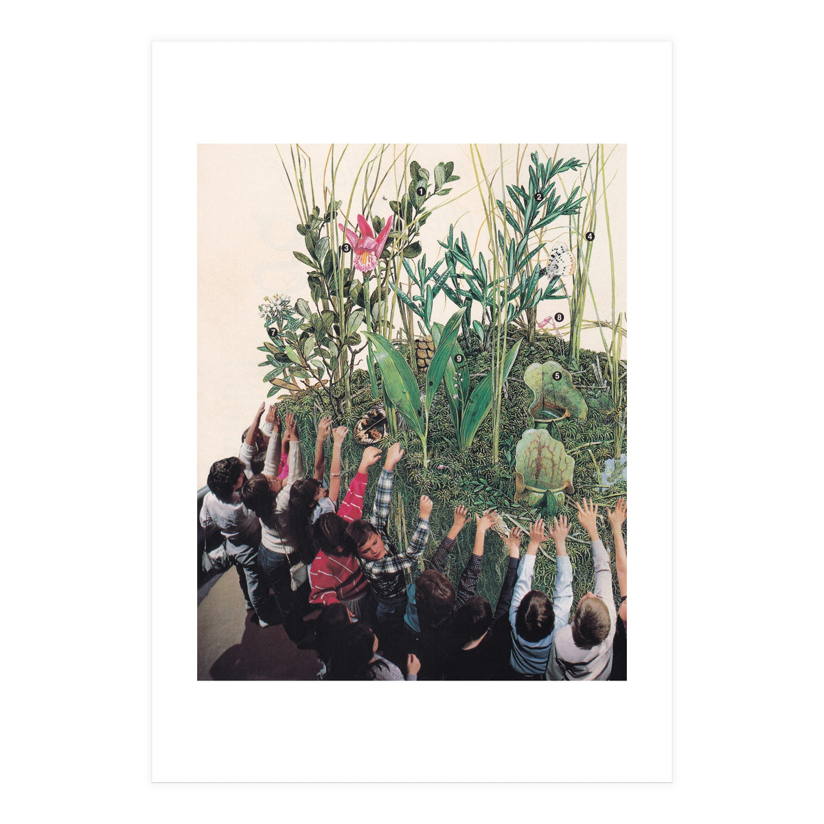 Grow Up (Print Only)