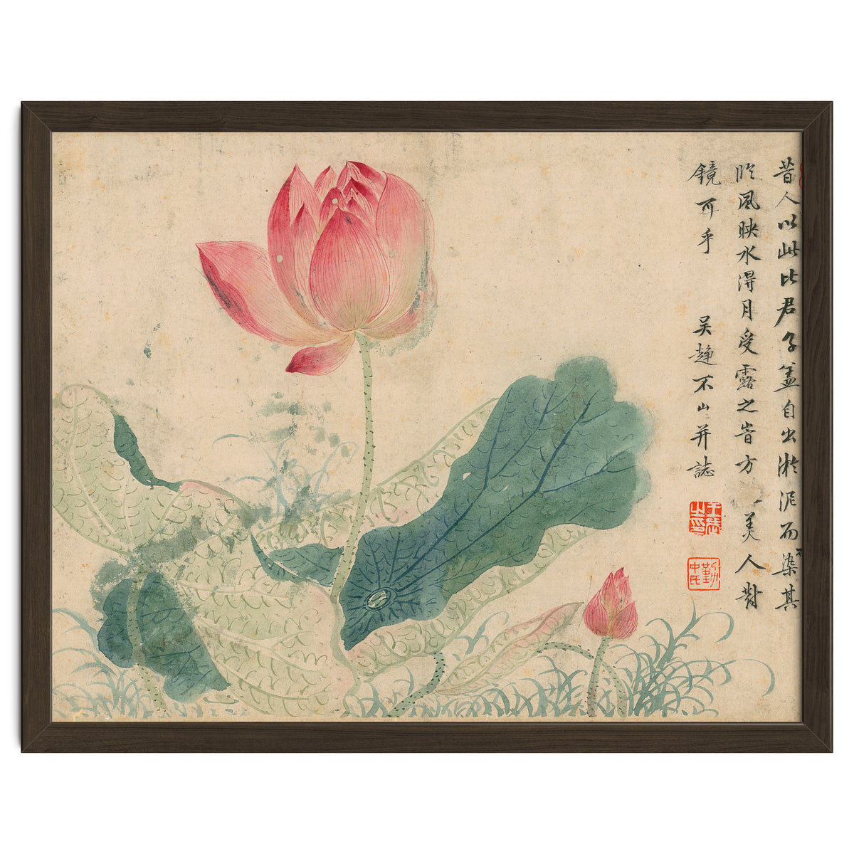 Qing Wangwu Flower album, lotus, lotus leaf, pond, copy of water grass