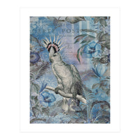 Jungle Cockatoo Blue (Print Only)