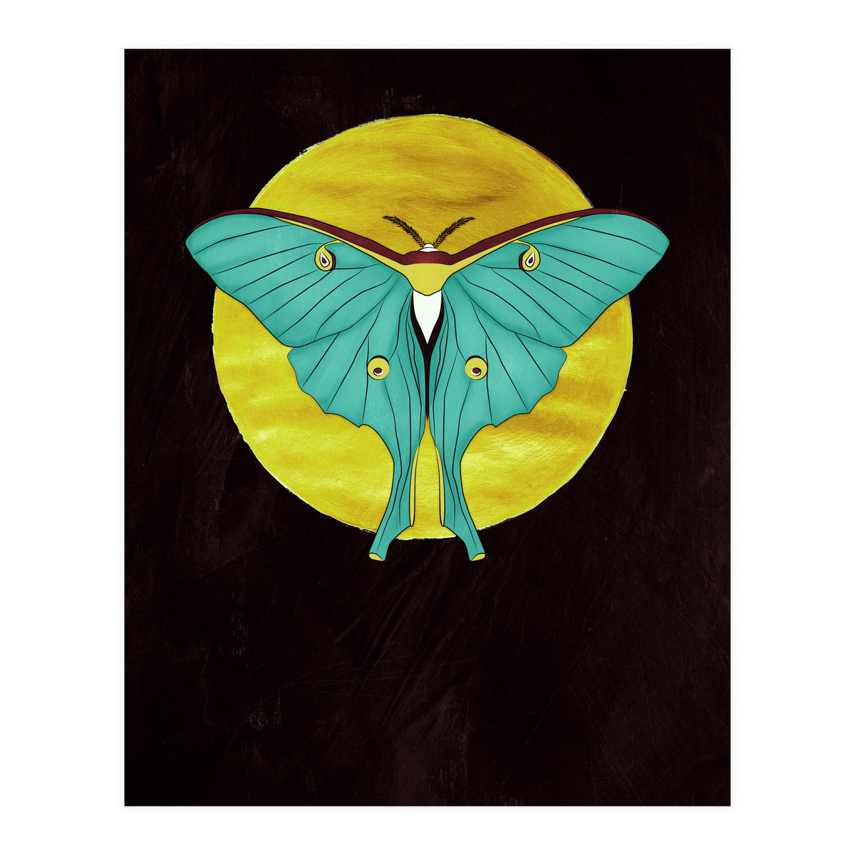 Luna Moth Moon (Print Only)