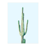 Loner Cactus (Print Only) thumbnail