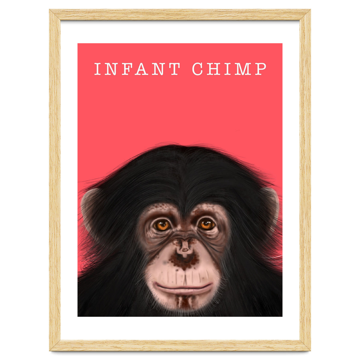 Infant Chimp