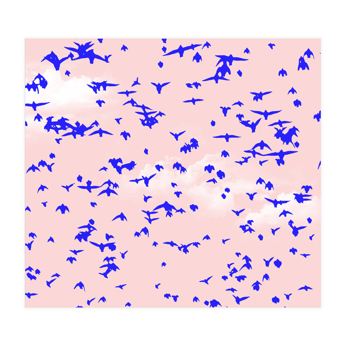 The Right To Fly (Print Only)