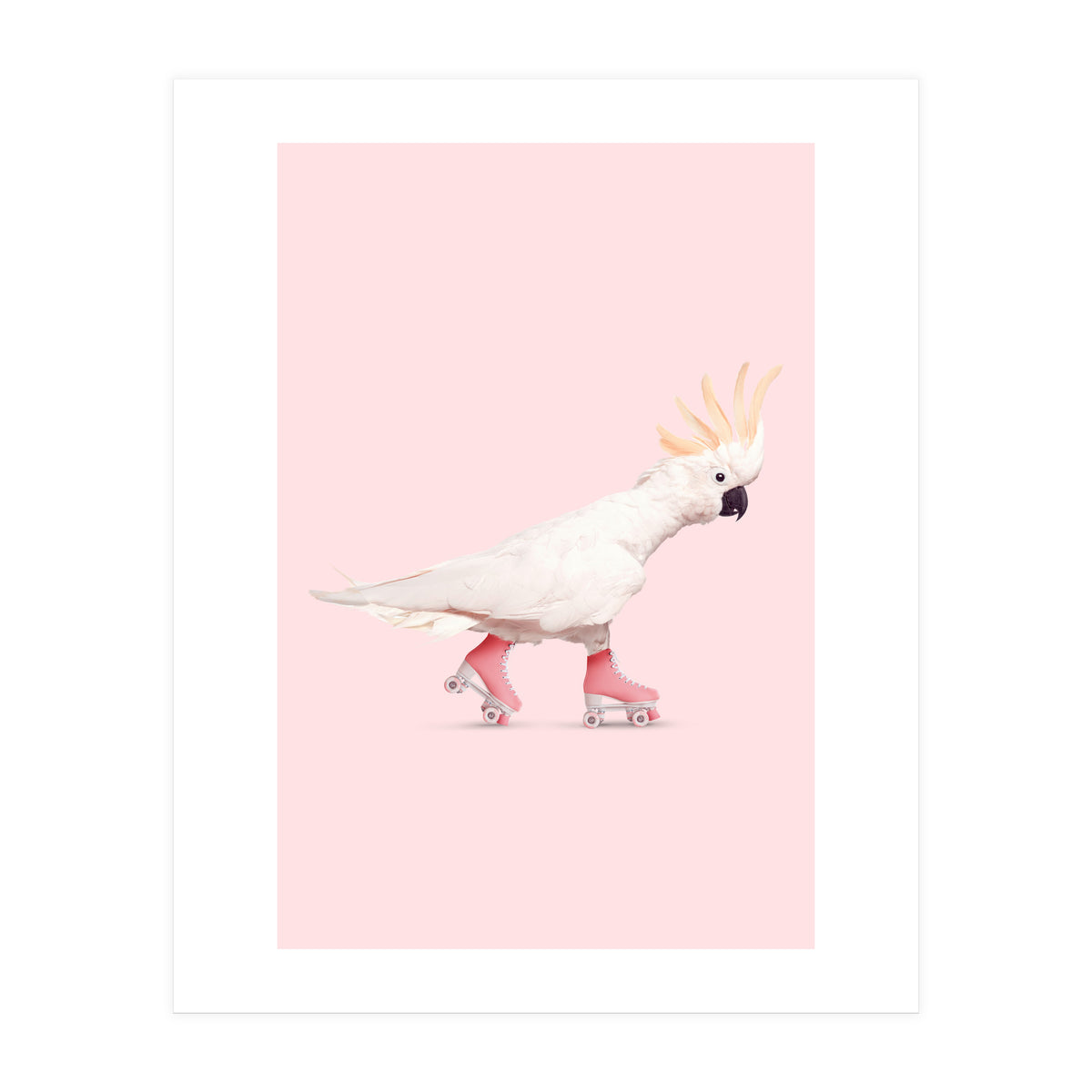 Rollerskating Cockatoo (Print Only)