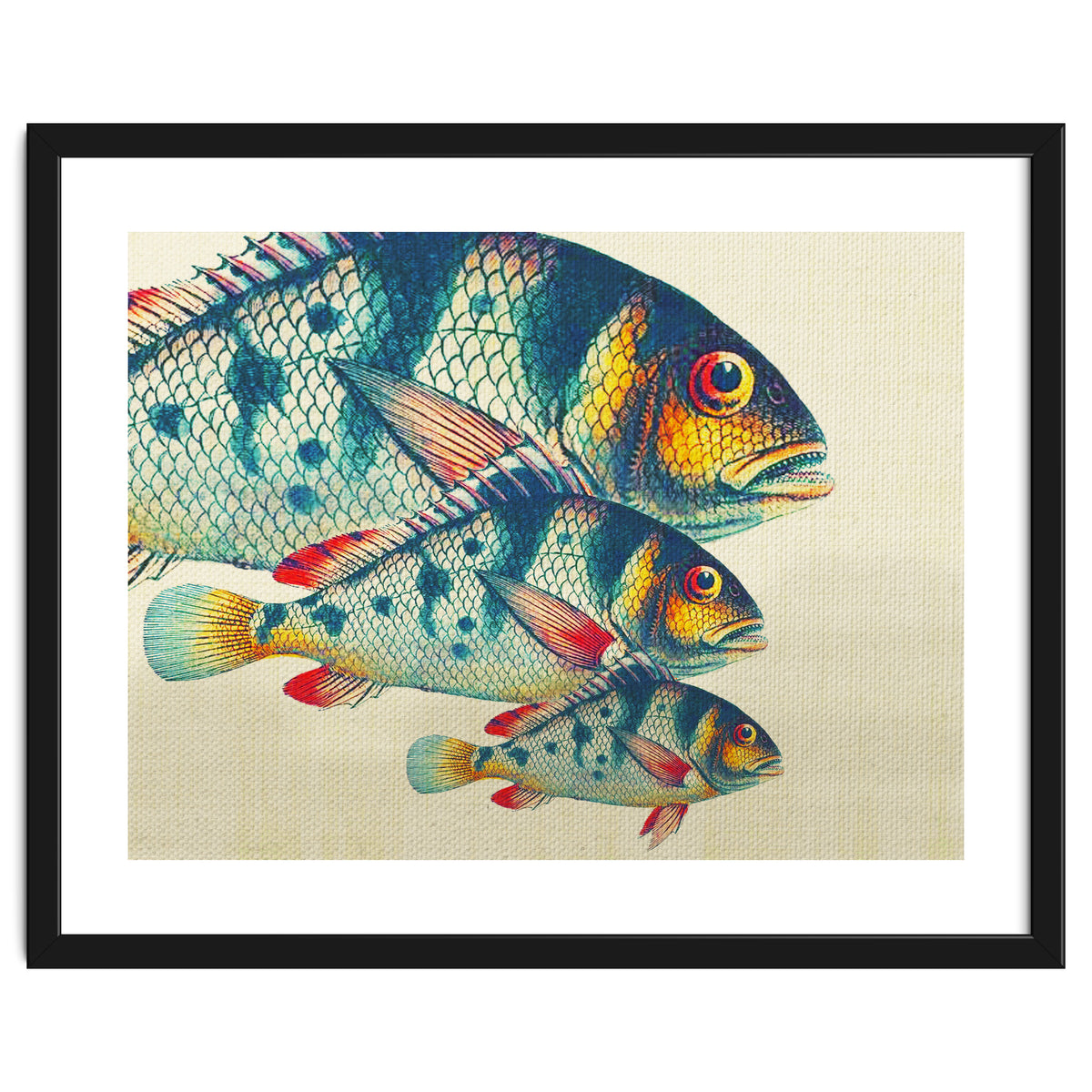 Fish Classic Designs 3