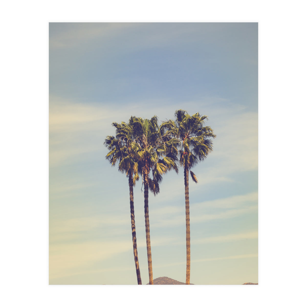 Summer in Los Angeles (Print Only)