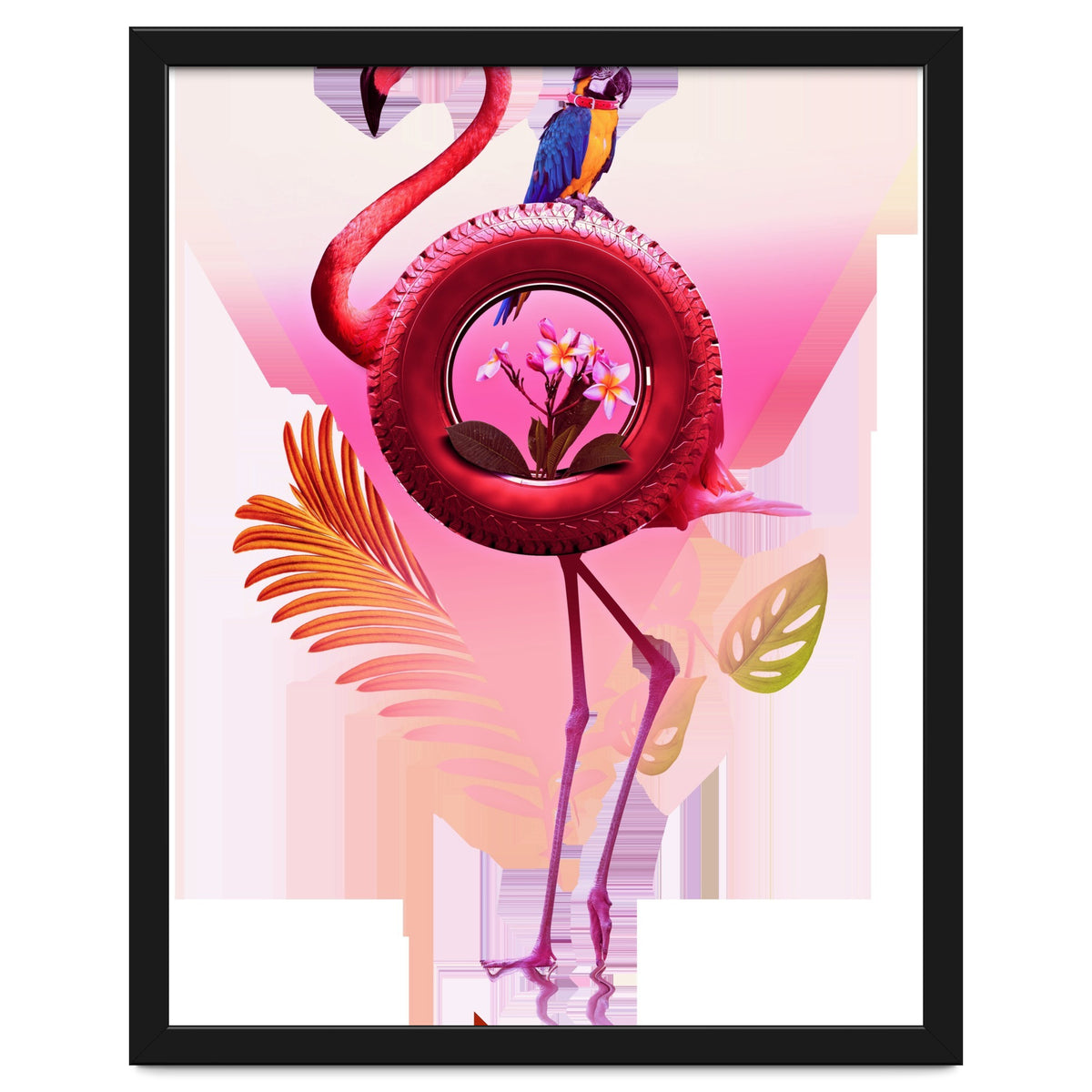 Flamingo