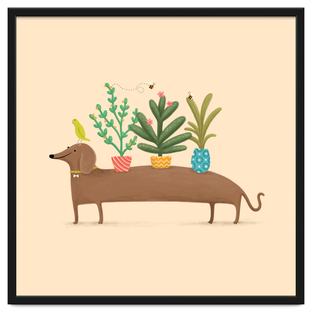 Dachshund And Parrot