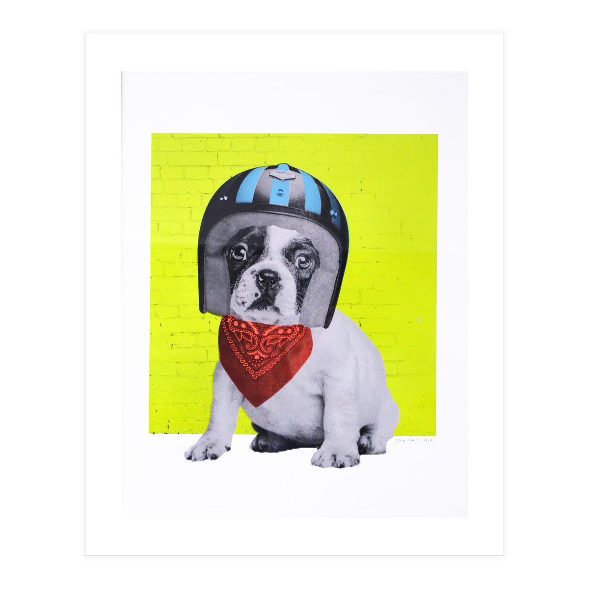 Easy Rider Dog (Print Only)