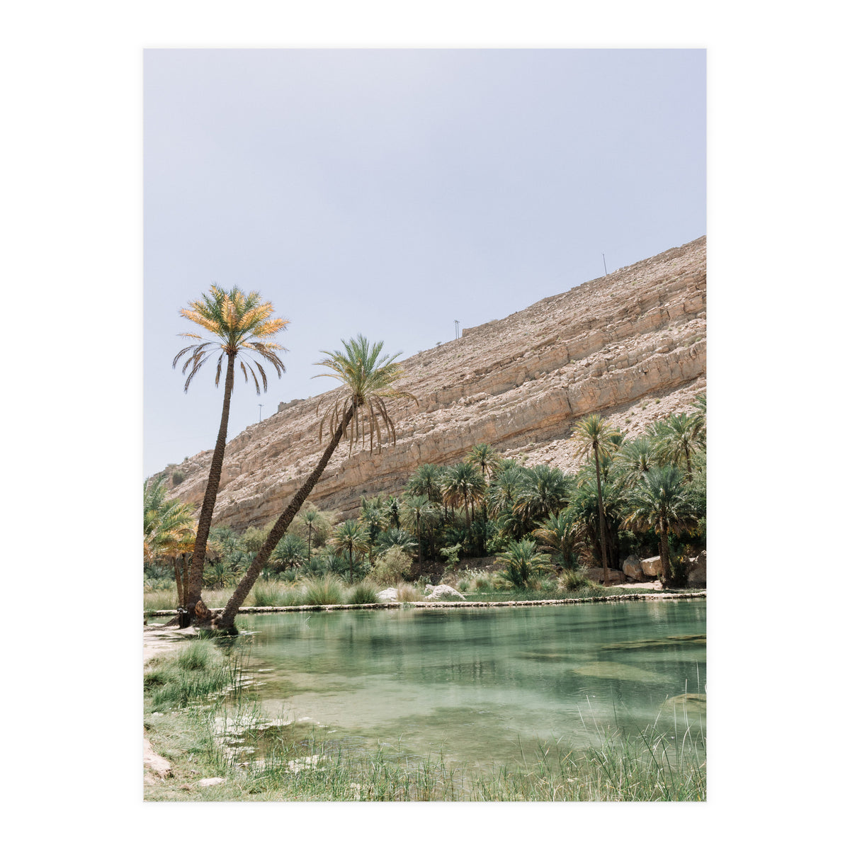 Tropical Oasis Portrait (Print Only)