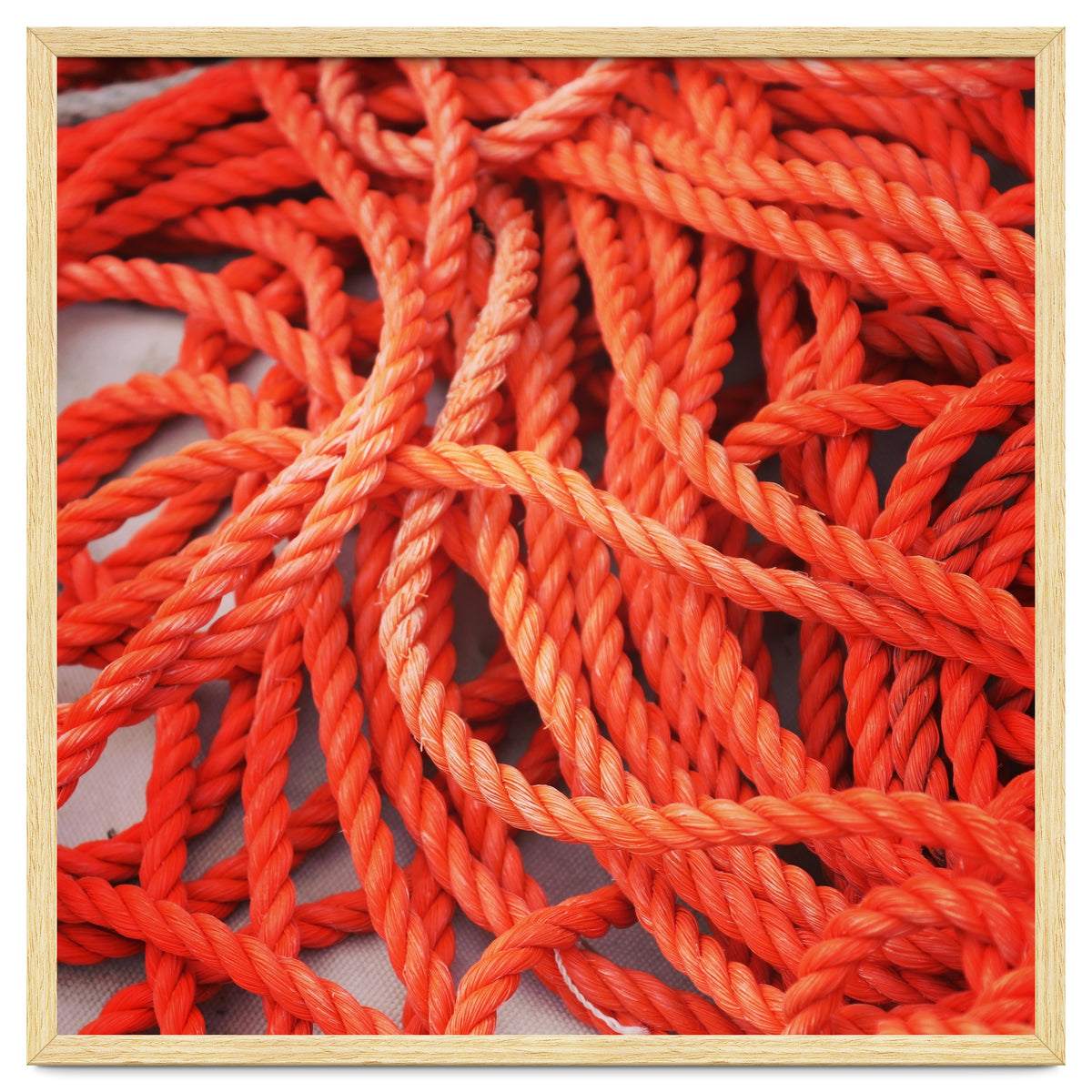 Orange ropes