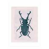Beetle 3 (Print Only) thumbnail