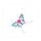 Peacock Butterfly (Print Only) thumbnail