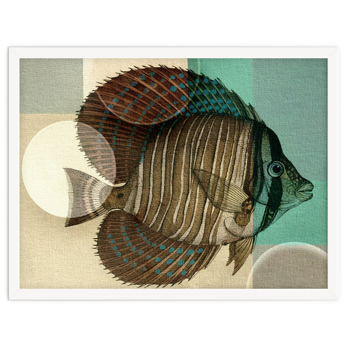 Fish Between Circles 4