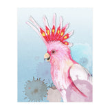 Major Mitchell's cockatoo (Print Only) thumbnail
