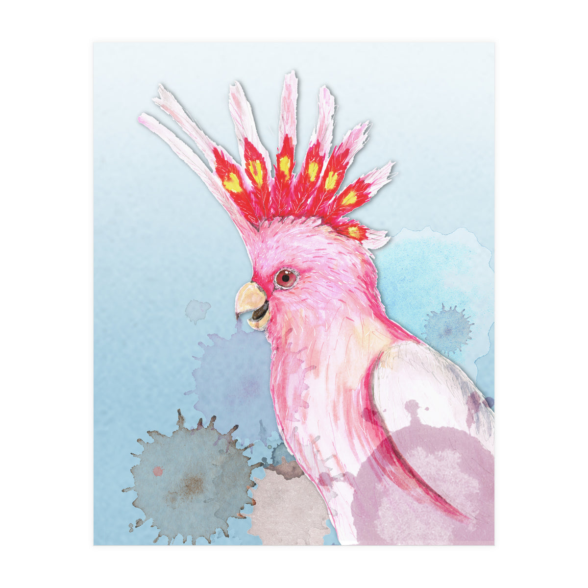 Major Mitchell's cockatoo (Print Only)