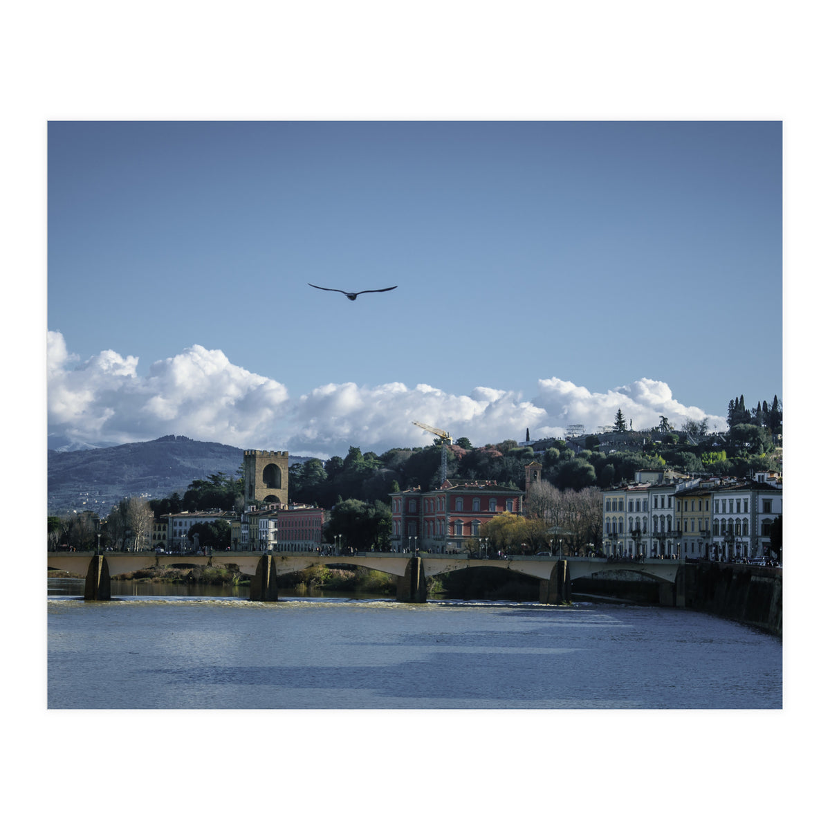 Volare A Firenze (Print Only)