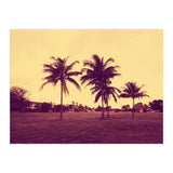 Palm Trees (Print Only) thumbnail