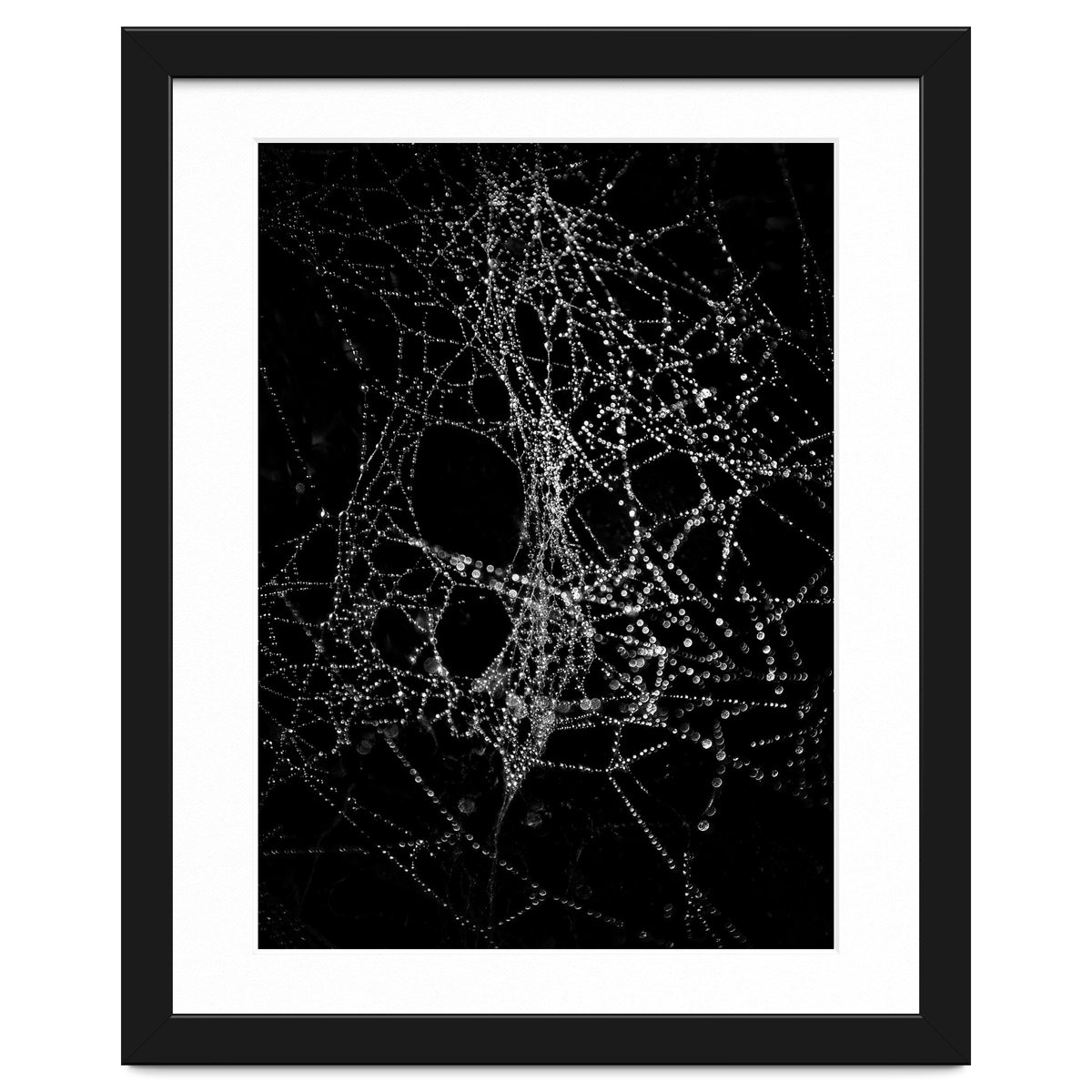 Spiderweb No 4