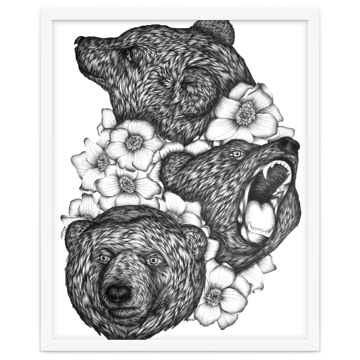 Bears In Bears