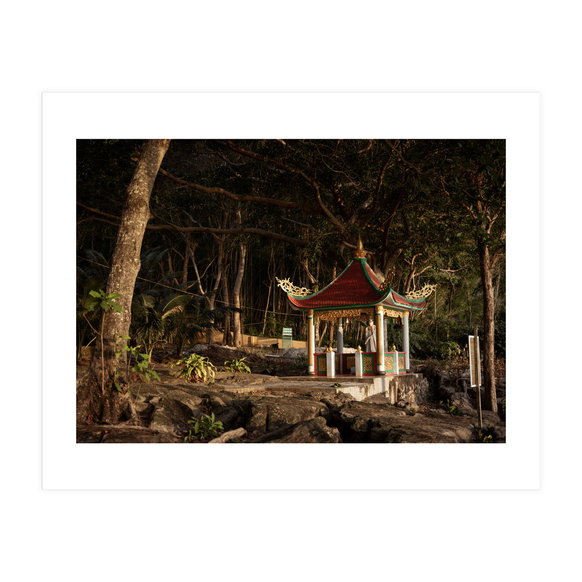 Prey Pray (Print Only)