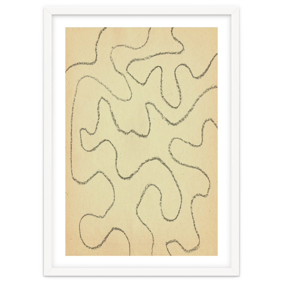 Abstract organic lines